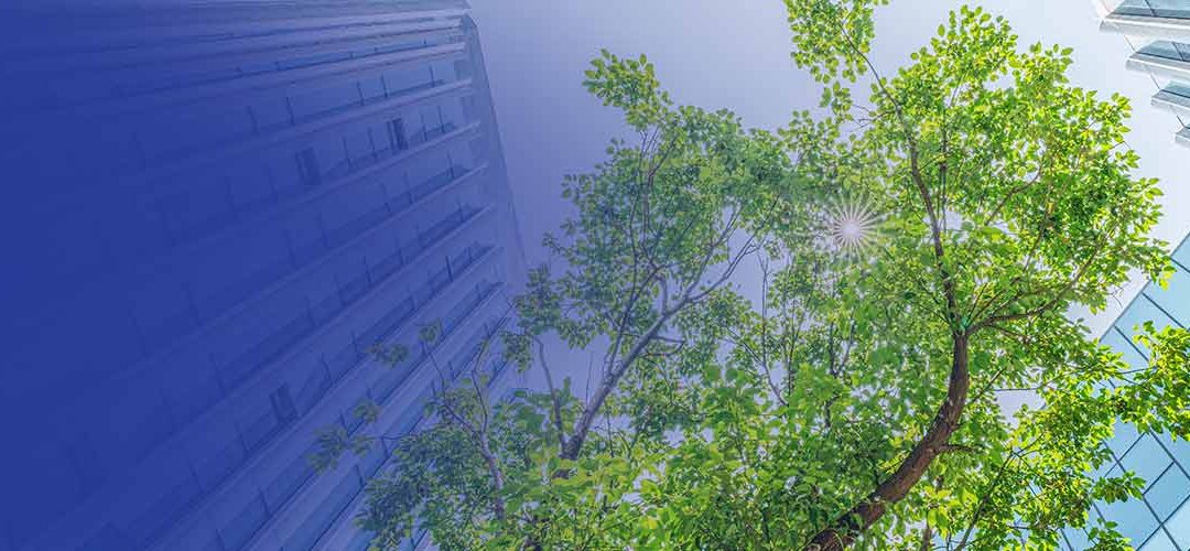 Cirion publishes its first Sustainability (ESG) Report: Inspiring a Sustainable Future